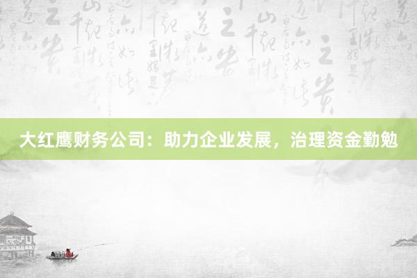 大红鹰财务公司：助力企业发展，治理资金勤勉