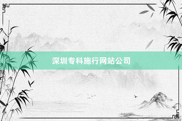 深圳专科施行网站公司
