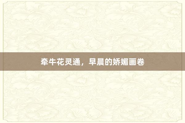 牵牛花灵通，早晨的娇媚画卷
